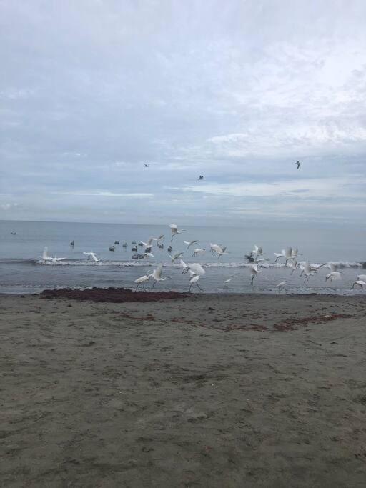 Apartamento La Ola De La Vida Con Aa Wifi *